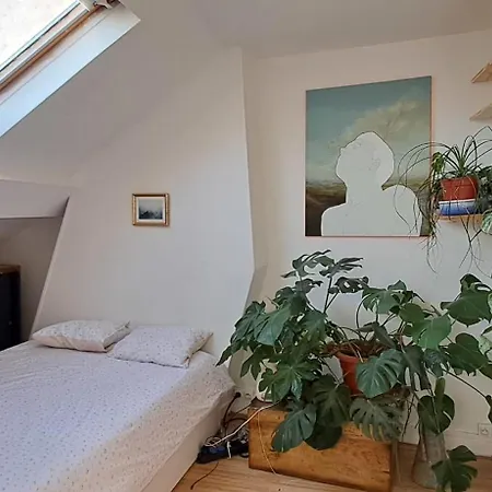 Of 20 M2 Near The Catacombes De Appartement *